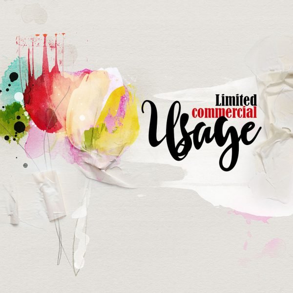 ArtsyFlowers Limited Commercial Usage License