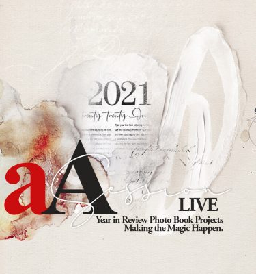 aA Year in Review Project REPLAY