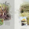 aA Travel Project 2023