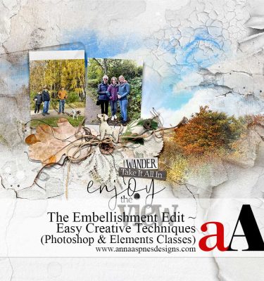The Embellishment Edit in Adobe Photoshop and Elements: Easy Creative Techniques for Digital Scrapbooking