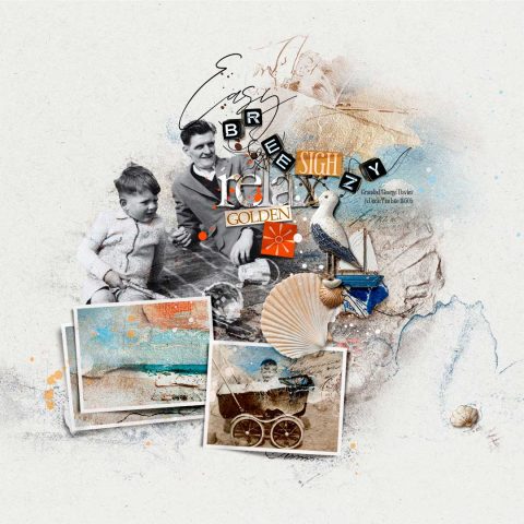 anna-aspnes-digital-scrapbook-photo-book-heritage-beach