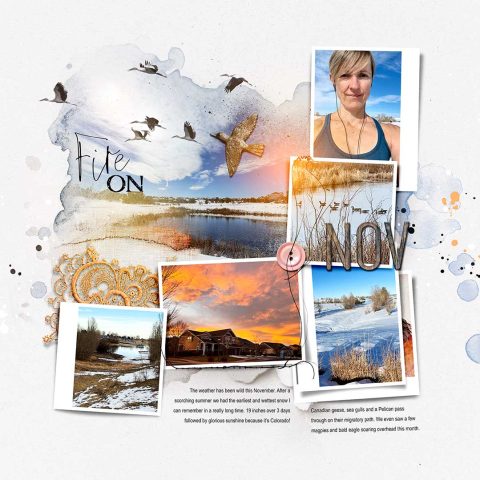anna-aspnes-digital-scrapbook-photo-book-scenic-landscape-every-day